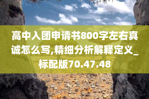 高中入团申请书800字左右真诚怎么写,精细分析解释定义_标配版70.47.48