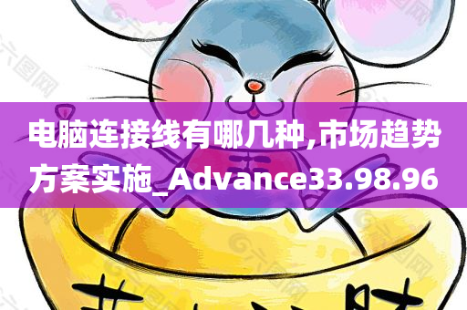 电脑连接线有哪几种,市场趋势方案实施_Advance33.98.96