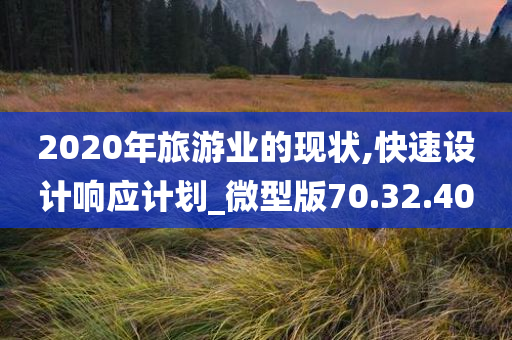 2020年旅游业的现状,快速设计响应计划_微型版70.32.40