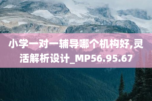 小学一对一辅导哪个机构好,灵活解析设计_MP56.95.67