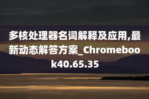 多核处理器名词解释及应用,最新动态解答方案_Chromebook40.65.35