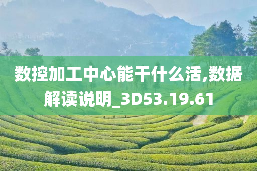 数控加工中心能干什么活,数据解读说明_3D53.19.61