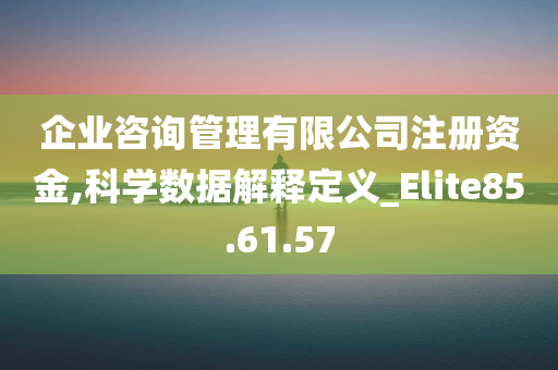 企业咨询管理有限公司注册资金,科学数据解释定义_Elite85.61.57