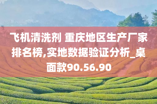 飞机清洗剂 重庆地区生产厂家排名榜,实地数据验证分析_桌面款90.56.90