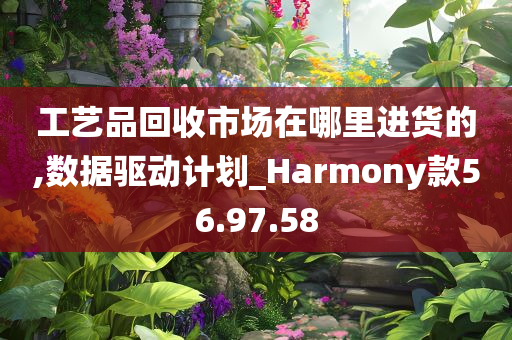 工艺品回收市场在哪里进货的,数据驱动计划_Harmony款56.97.58