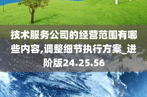 技术服务公司的经营范围有哪些内容,调整细节执行方案_进阶版24.25.56