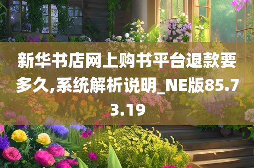 新华书店网上购书平台退款要多久,系统解析说明_NE版85.73.19