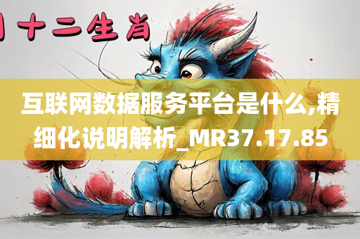 互联网数据服务平台是什么,精细化说明解析_MR37.17.85