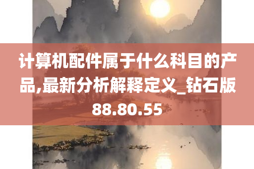 计算机配件属于什么科目的产品,最新分析解释定义_钻石版88.80.55