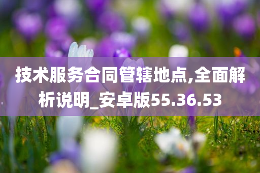 技术服务合同管辖地点,全面解析说明_安卓版55.36.53