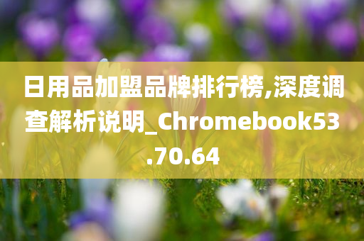 日用品加盟品牌排行榜,深度调查解析说明_Chromebook53.70.64