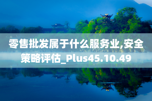 零售批发属于什么服务业,安全策略评估_Plus45.10.49