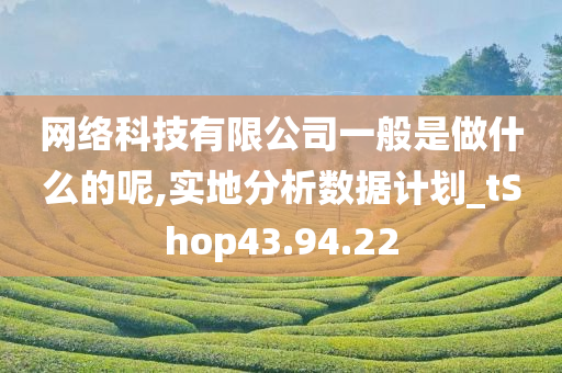 网络科技有限公司一般是做什么的呢,实地分析数据计划_tShop43.94.22