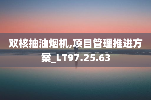 双核抽油烟机,项目管理推进方案_LT97.25.63