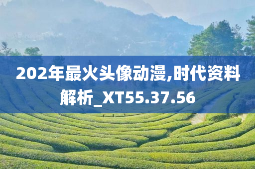 202年最火头像动漫,时代资料解析_XT55.37.56