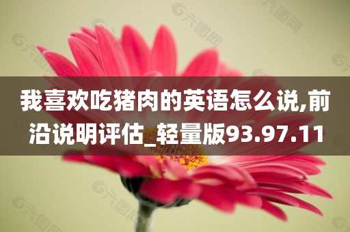 我喜欢吃猪肉的英语怎么说,前沿说明评估_轻量版93.97.11