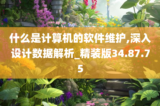 什么是计算机的软件维护,深入设计数据解析_精装版34.87.75