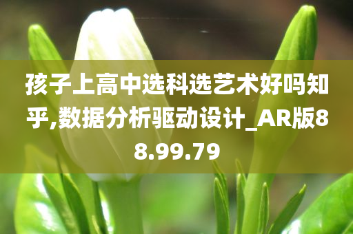 孩子上高中选科选艺术好吗知乎,数据分析驱动设计_AR版88.99.79