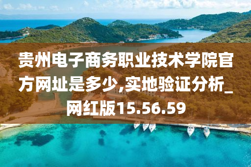 贵州电子商务职业技术学院官方网址是多少,实地验证分析_网红版15.56.59