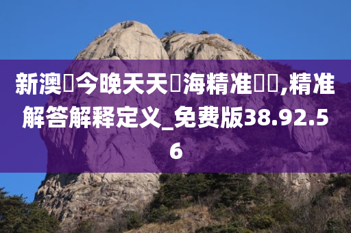 新澳門今晚天天開海精准號馬,精准解答解释定义_免费版38.92.56