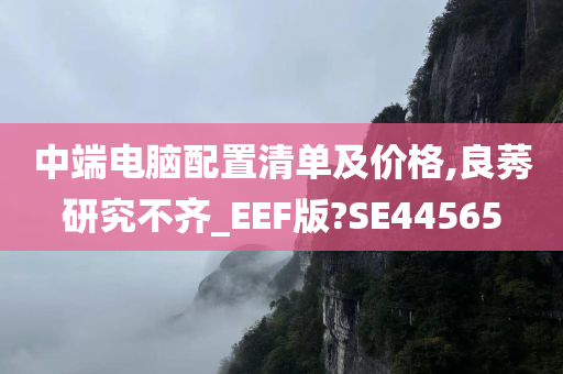 中端电脑配置清单及价格,良莠研究不齐_EEF版?SE44565