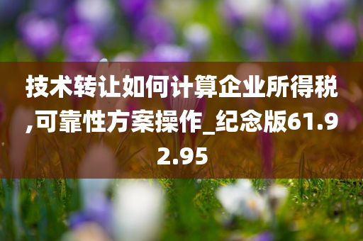 技术转让如何计算企业所得税,可靠性方案操作_纪念版61.92.95