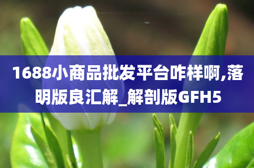 1688小商品批发平台咋样啊,落明版良汇解_解剖版GFH5