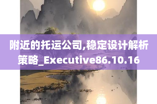 附近的托运公司,稳定设计解析策略_Executive86.10.16