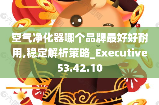 空气净化器哪个品牌最好好耐用,稳定解析策略_Executive53.42.10