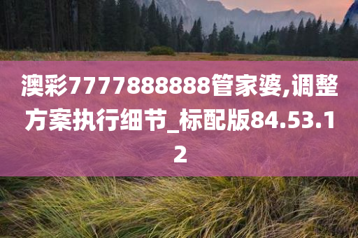 澳彩7777888888管家婆,调整方案执行细节_标配版84.53.12