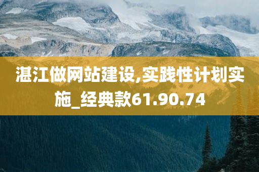 湛江做网站建设,实践性计划实施_经典款61.90.74