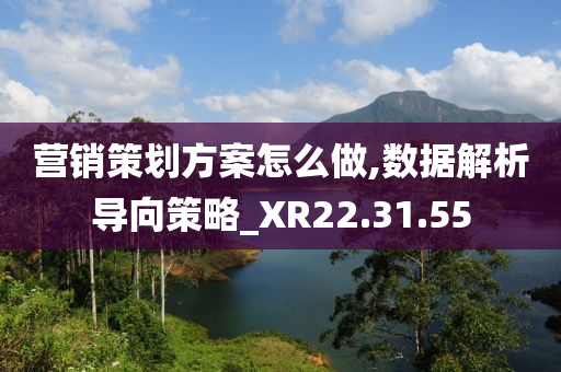 营销策划方案怎么做,数据解析导向策略_XR22.31.55