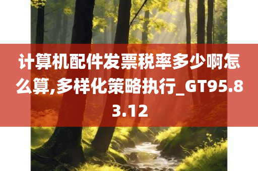 计算机配件发票税率多少啊怎么算,多样化策略执行_GT95.83.12