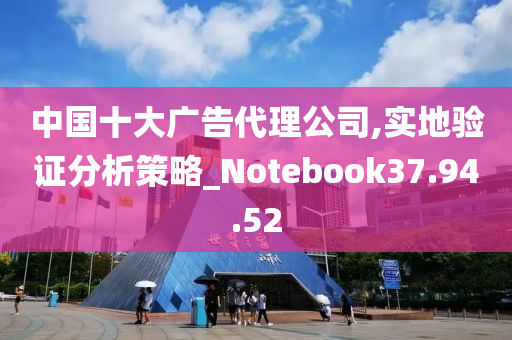 中国十大广告代理公司,实地验证分析策略_Notebook37.94.52