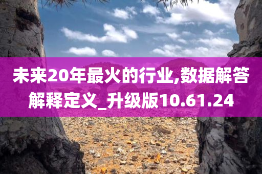 未来20年最火的行业,数据解答解释定义_升级版10.61.24