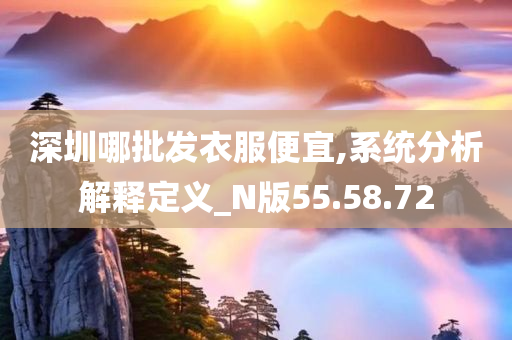 深圳哪批发衣服便宜,系统分析解释定义_N版55.58.72