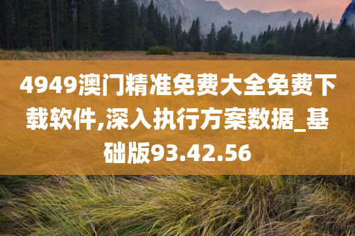 4949澳门精准免费大全免费下载软件,深入执行方案数据_基础版93.42.56