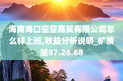 海南海口空空商贸有限公司怎么样上班,收益分析说明_扩展版87.26.68