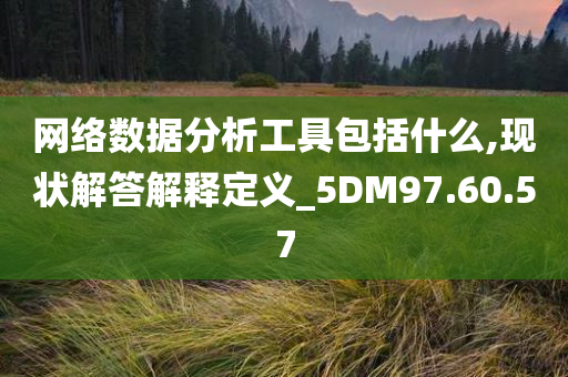 网络数据分析工具包括什么,现状解答解释定义_5DM97.60.57