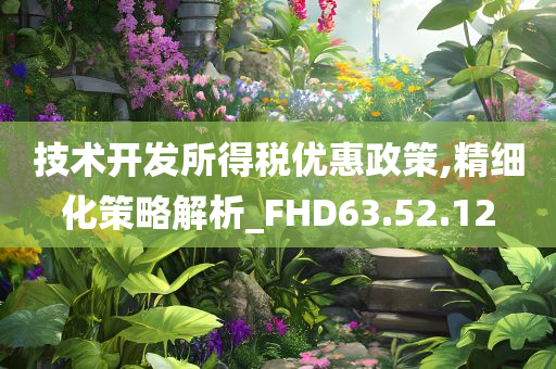 技术开发所得税优惠政策,精细化策略解析_FHD63.52.12