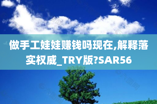 做手工娃娃赚钱吗现在,解释落实权威_TRY版?SAR56