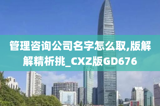 管理咨询公司名字怎么取,版解解精析挑_CXZ版GD676