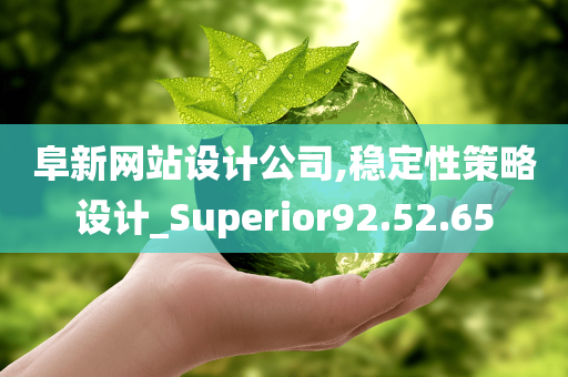 阜新网站设计公司,稳定性策略设计_Superior92.52.65