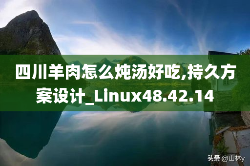 四川羊肉怎么炖汤好吃,持久方案设计_Linux48.42.14