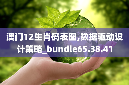 澳门12生肖码表图,数据驱动设计策略_bundle65.38.41