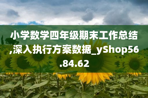 小学数学四年级期末工作总结,深入执行方案数据_yShop56.84.62