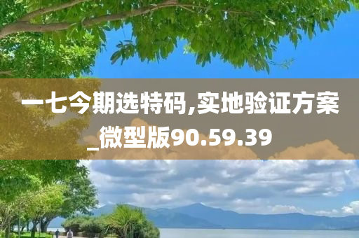 一七今期选特码,实地验证方案_微型版90.59.39