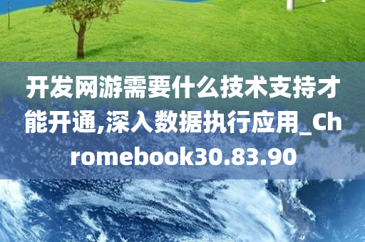 开发网游需要什么技术支持才能开通,深入数据执行应用_Chromebook30.83.90