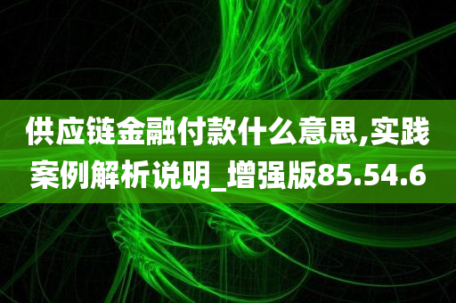 供应链金融付款什么意思,实践案例解析说明_增强版85.54.60