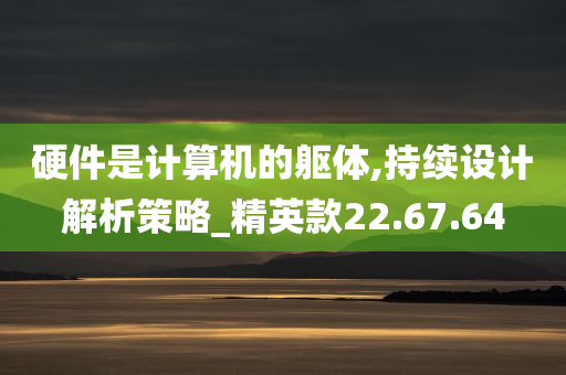 硬件是计算机的躯体,持续设计解析策略_精英款22.67.64